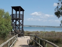 Re-Sale - Apartment - La Mata - La Mata - Town