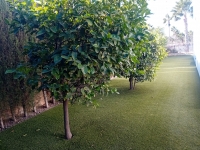 Re-Sale - Detached Villa - Algorfa - La Finca Golf Resort