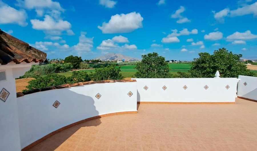 New - Country Property - Catral - Catral - Country