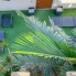 Re-Sale - Townhouse - Torrevieja - Doña Ines