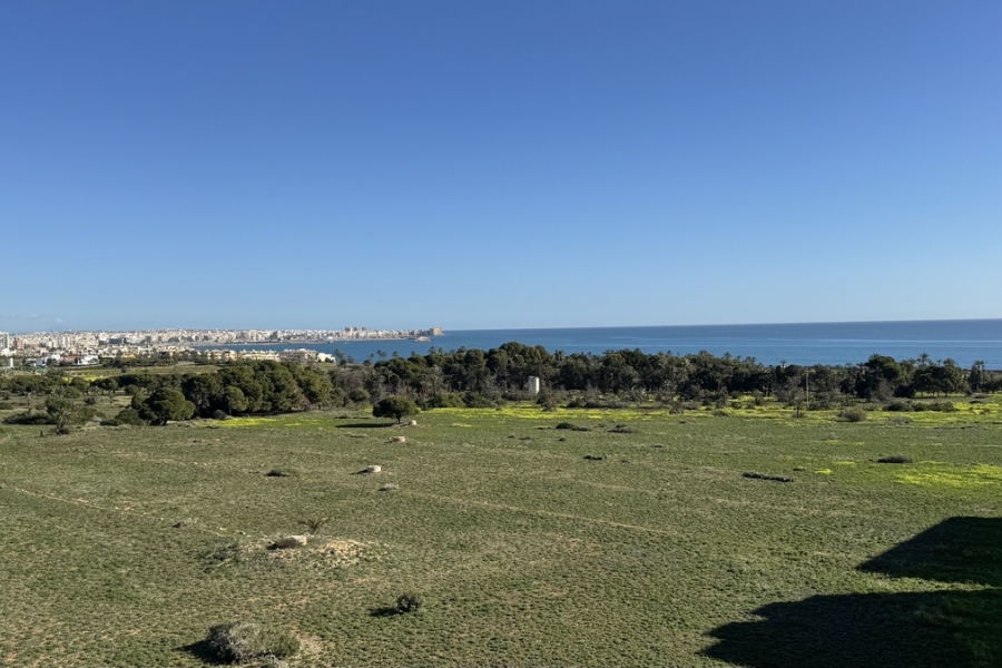 Re-Sale - Apartment - Orihuela Costa - Punta Prima