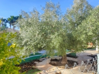 Re-Sale - Detached Villa - Aspe - Aspe - Country