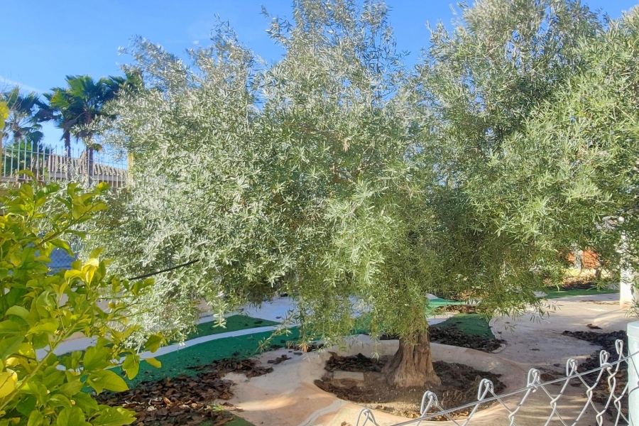 Re-Sale - Detached Villa - Aspe - Aspe - Country