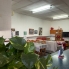 Re-Sale - Detached Villa - San Miguel de Salinas - pueblo