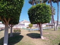 Re-Sale - Apartment - Orihuela Costa - Playa Flamenca
