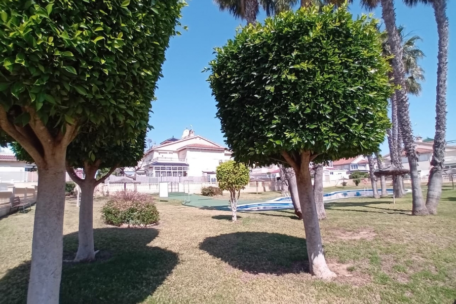 Re-Sale - Apartment - Orihuela Costa - Playa Flamenca