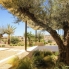 New - Detached Villa - La Marina - La Escuera