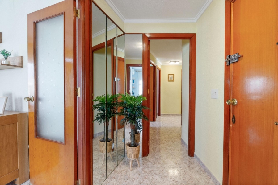 Re-Sale - Apartment - Torrevieja - Torrevieja - Centre
