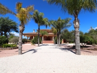 Wederverkoop - Landgoed - Callosa de Segura - Callosa de Segura - Veld