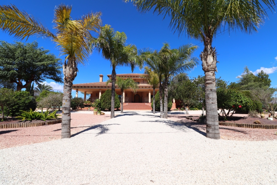 Wederverkoop - Landgoed - Callosa de Segura - Callosa de Segura - Veld