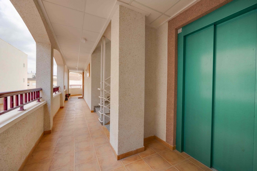 New - Apartment - San Fulgencio - San Fulgencio - Town