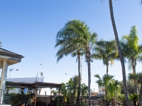 New - Detached Villa - San Pedro del Pinatar - San Pedro del Pinatar - Town