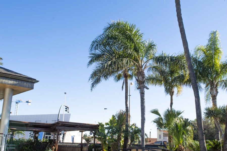 New - Detached Villa - San Pedro del Pinatar - San Pedro del Pinatar - Town