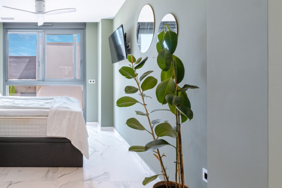 Re-Sale - Detached Villa - San Miguel de Salinas - San Miguel - Town