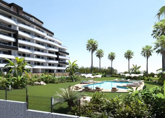 Apartment - New - San Miguel de Salinas - San Miguel - Town