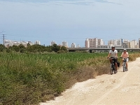 Re-Sale - Detached Villa - Algorfa - La Finca Golf Resort