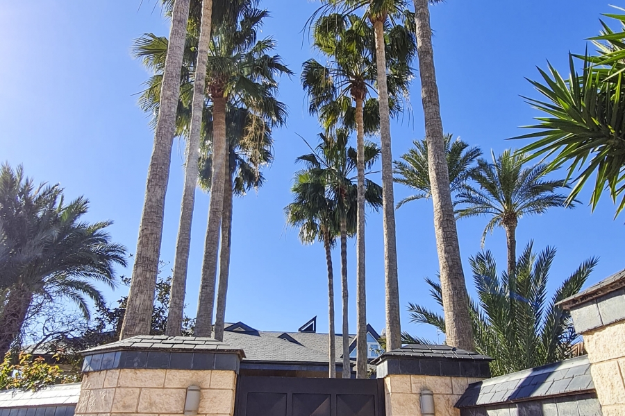 New - Detached Villa - San Pedro del Pinatar - San Pedro del Pinatar - Town