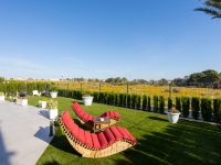 Re-Sale - Apartment - Torrevieja - Rocio del Mar