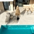 Re-Sale - Townhouse - Dolores - Dolores - Town