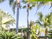 New - Detached Villa - San Pedro del Pinatar - San Pedro del Pinatar - Town