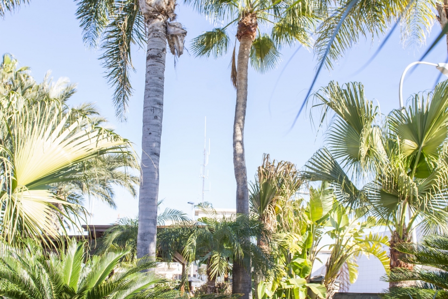 New - Detached Villa - San Pedro del Pinatar - San Pedro del Pinatar - Town