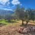 Re-Sale - Detached Villa - La Romana - La Romana - Country
