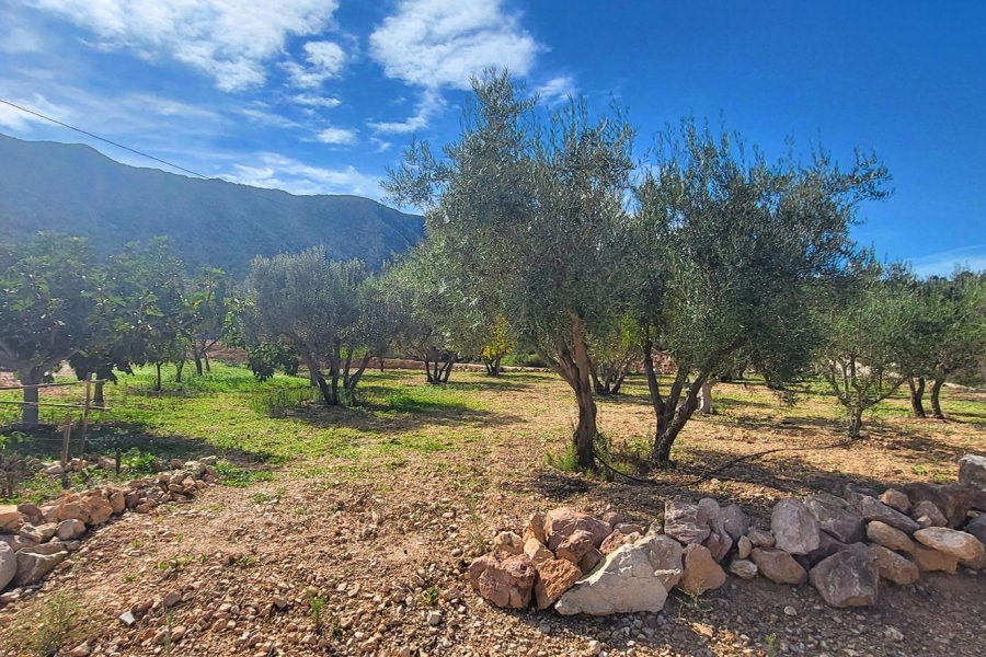 Re-Sale - Detached Villa - La Romana - La Romana - Country