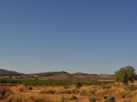 Re-Sale - Country Property - Pinoso - Edge of town