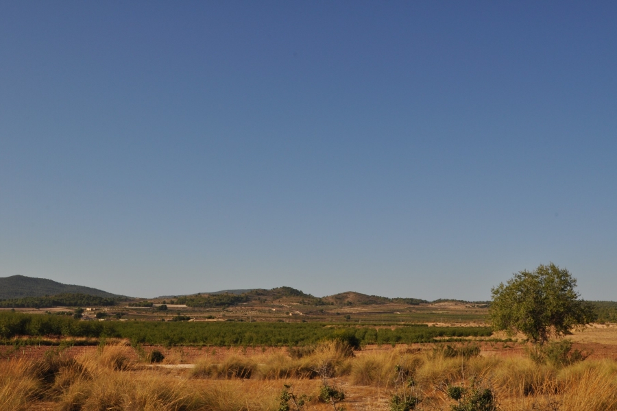 Re-Sale - Country Property - Pinoso - Edge of town