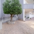 Re-Sale - Apartment - Orihuela Costa - Cabo Roig