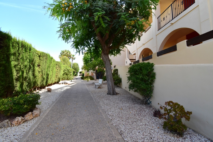Re-Sale - Apartment - Orihuela Costa - Playa Flamenca