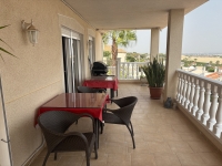 Re-Sale - Detached Villa - Algorfa - Algorfa - Village
