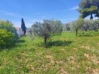 Re-Sale - Detached Villa - La Romana - La Romana - Country
