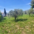 Re-Sale - Detached Villa - La Romana - La Romana - Country