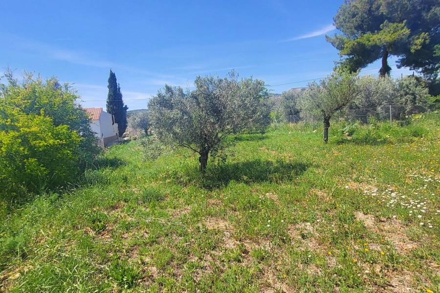 Re-Sale - Detached Villa - La Romana - La Romana - Country