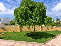 Re-Sale - Apartment - Torrevieja - El Chaparral