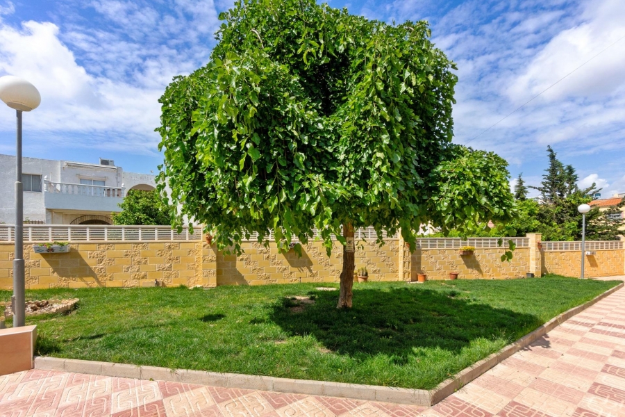 Re-Sale - Apartment - Torrevieja - El Chaparral