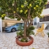 Re-Sale - Townhouse - Torrevieja - Torrevieja - Centre