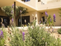 New - Detached Villa - La Marina - La Escuera