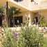 New - Detached Villa - La Marina - La Escuera