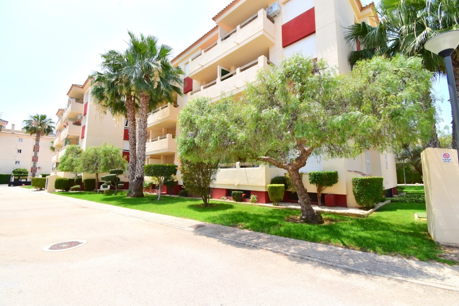 Re-Sale - Apartment - Orihuela Costa - Playa Flamenca