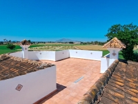 New - Country Property - Catral - Catral - Country