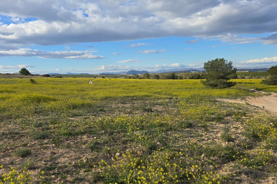 Re-Sale - Apartment - Orihuela Costa - Villamartin