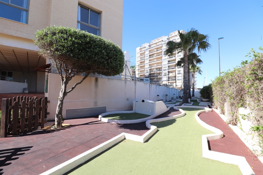 Wederverkoop - Duplex - Guardamar del Segura - Guardamar del Segura - Stad