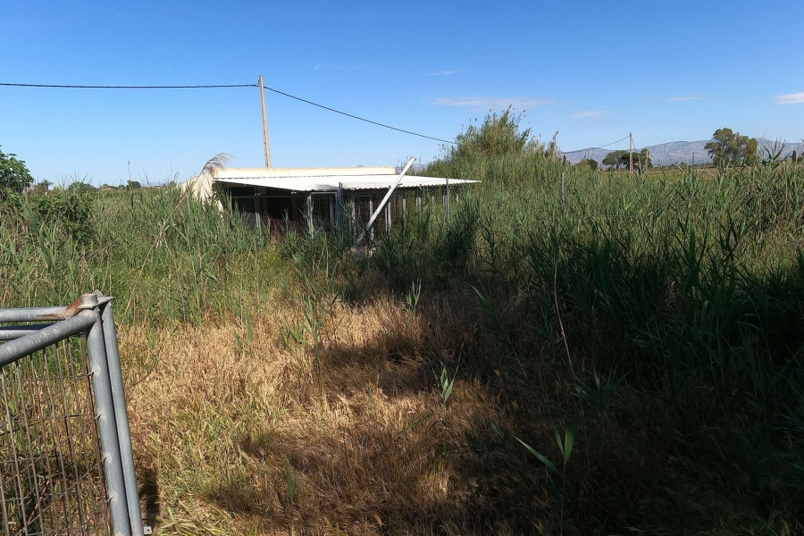 Re-Sale - Detached Villa - Dolores - Dolores - Town