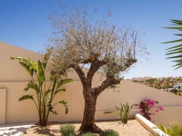 New - Detached Villa - La Marina - La Escuera