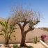 New - Detached Villa - La Marina - La Escuera